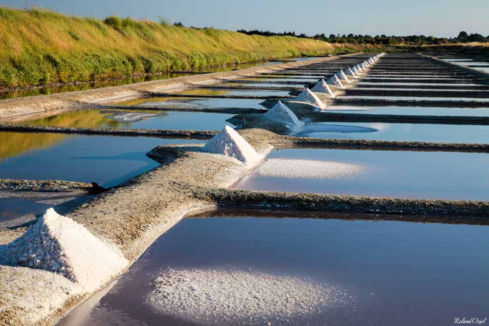 visit of the salt marshes of the island of olonne