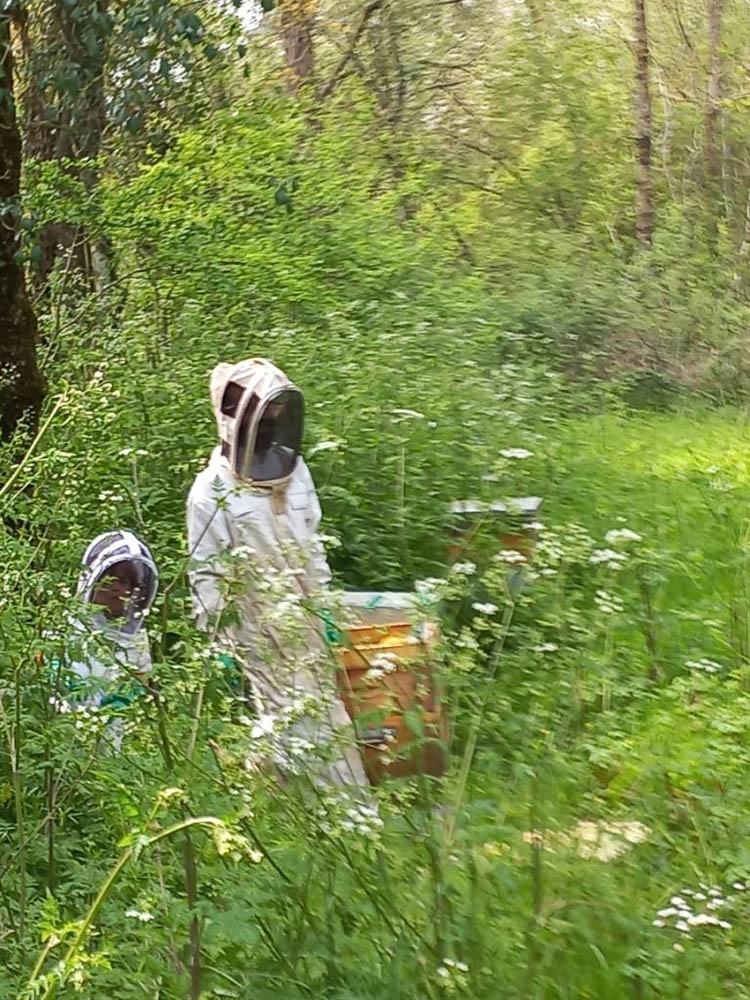 apiculteur camping Vendée